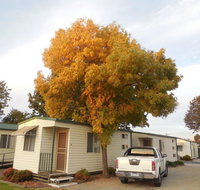 Wodonga Caravan  Cabin Park - Accommodation Main Beach