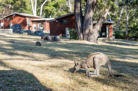 Wonderland Cottages - Accommodation Main Beach 1
