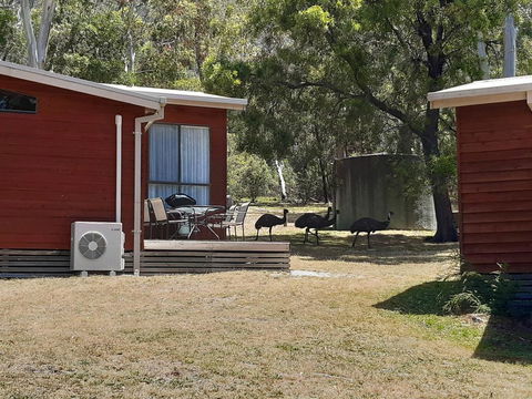 Wonderland Cottages - Accommodation Main Beach 3