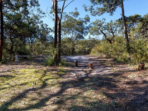 Wongaburra - Accommodation Main Beach 2