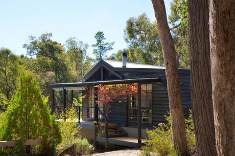Wood For The Trees - Accommodation Main Beach 0