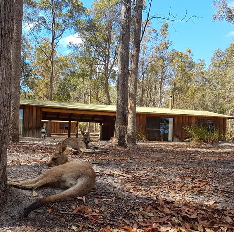 Woodbine Park Eco Cabins - Accommodation Main Beach 2