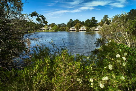 Woodman Estate - Accommodation Main Beach 1