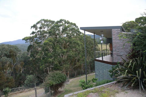 Woollybutt - Accommodation Main Beach 3