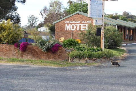 Woomargama Motel - Accommodation Main Beach 3