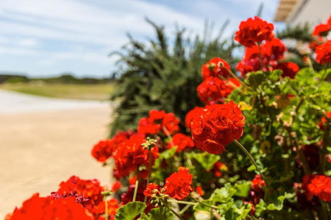 Wytonia Beachfront Accommodation - Accommodation Main Beach 3