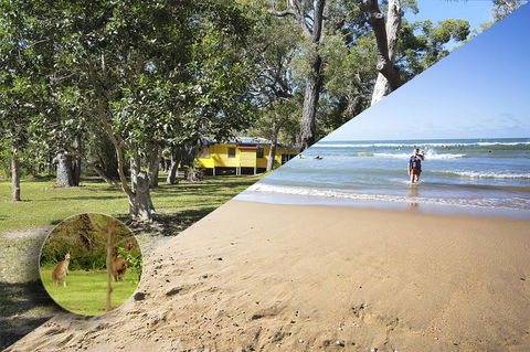 Yellow Cottage - Bush And Beach - Accommodation Main Beach 0