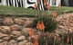 Zebras Guest House Geraldton - thumb 1