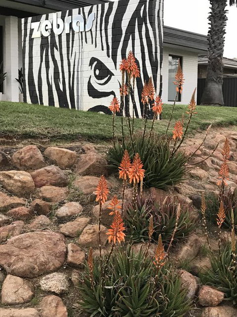 Zebras Guest House Geraldton - Accommodation Main Beach 1