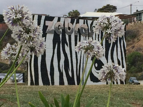 Zebras Guest House Geraldton - Accommodation Main Beach 0