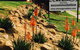 Zebras Guest House Geraldton - thumb 2