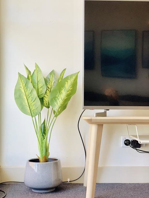 ZEN Homes On Collins - Accommodation Main Beach 3