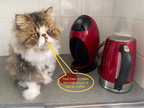 A Mini Slice Of Fremantle - Accommodation Main Beach 2