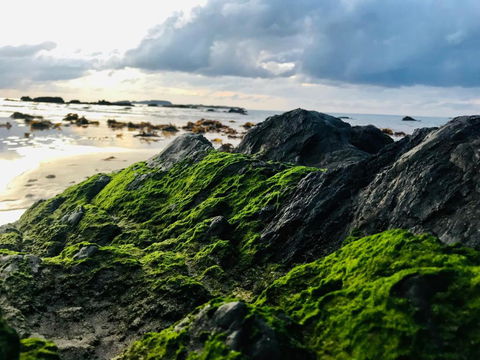 A Sanctuary At Denhams - Family & Pooch Friendly - Accommodation Main Beach 2