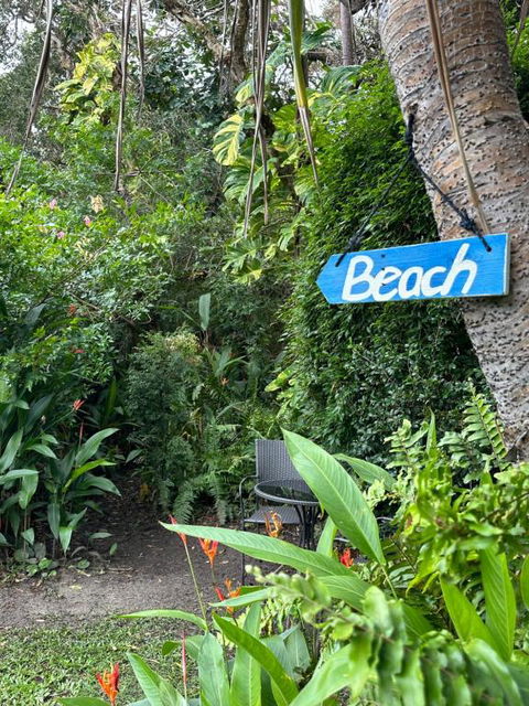 Absolute Beach Front Home -Dogs, Surf, Relax, Bush - Accommodation Main Beach 2