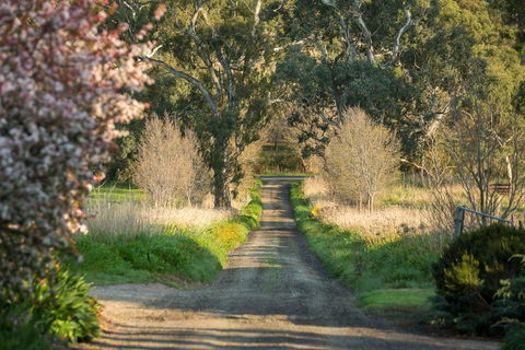 AL RU Farm - Accommodation Main Beach 2