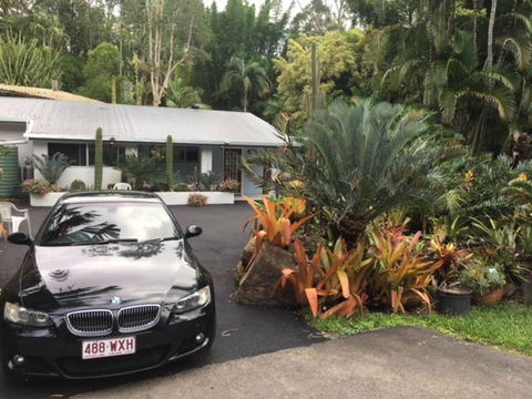 Ancient Gardens Guesthouse & Botanical Gardens - Accommodation Main Beach 2