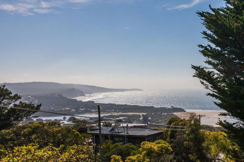Anglesea Outlook - Accommodation Main Beach 3
