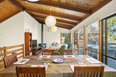 Apollo Bay People N Paws - Accommodation Main Beach 1