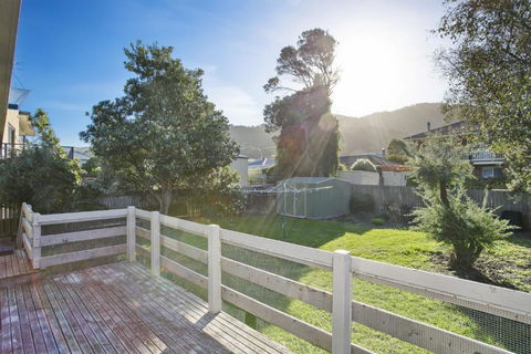 Apollo Bay People N Paws - Accommodation Main Beach 4