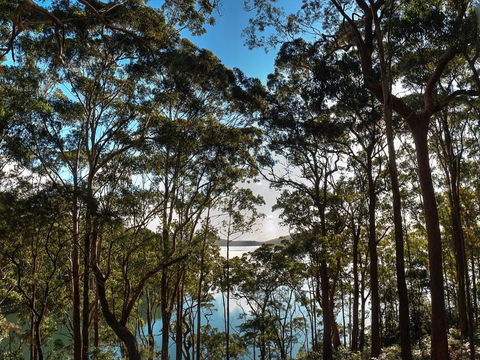 Aqua Vista - Accommodation Main Beach 4