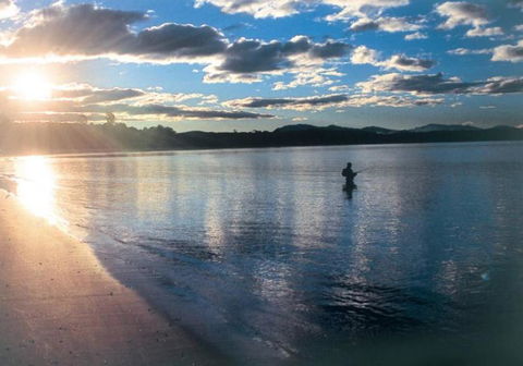 Aquarius Batehaven - Accommodation Main Beach 4