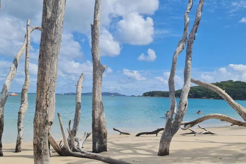 ARay At Cooee Bay - Apt B - Beach House Yeppoon - Accommodation Main Beach 1