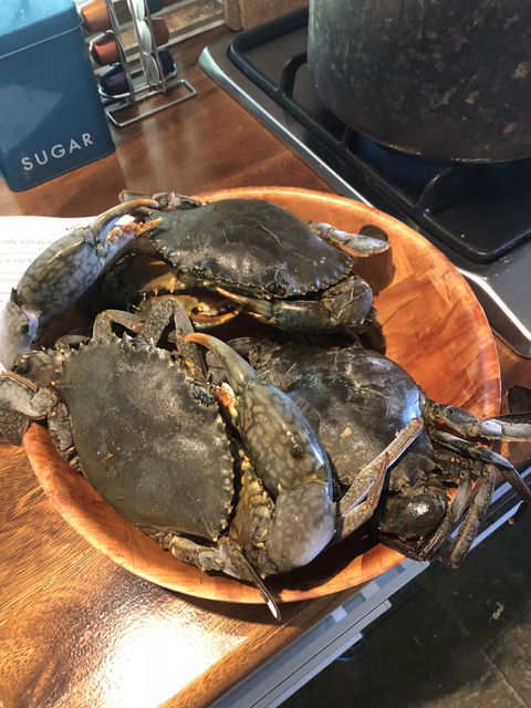 Cairns Beach House Our Oasis - Accommodation Main Beach 4