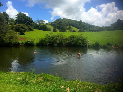 Maleny Springs Farm - Accommodation Main Beach 34