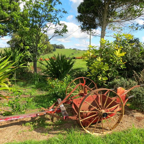 Maleny Springs Farm - Accommodation Main Beach 37