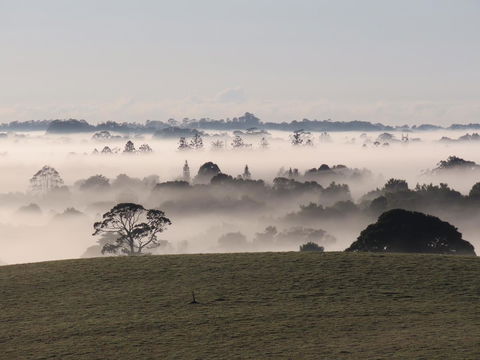 Maleny Springs Farm - Accommodation Main Beach 22