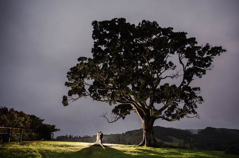 Maleny Springs Farm - Accommodation Main Beach 16