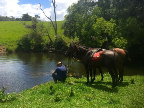 Maleny Springs Farm - Accommodation Main Beach 36
