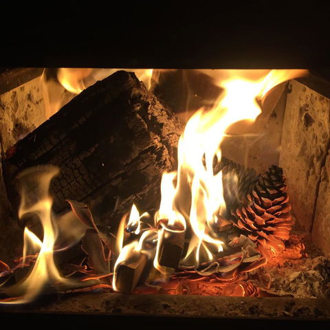 Maleny Springs Farm - Accommodation Main Beach 13