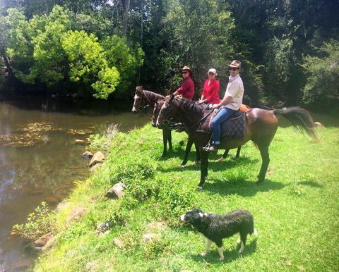 Maleny Springs Farm - Accommodation Main Beach 33