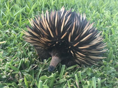 Maleny Springs Farm - Accommodation Main Beach 23