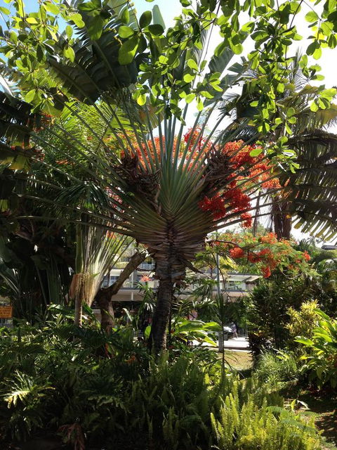 Port Douglas Apartments - Adults Only Oasis - Accommodation Main Beach 39