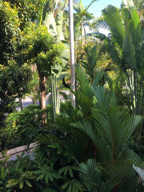 Port Douglas Apartments - Adults Only Oasis - Accommodation Main Beach 1