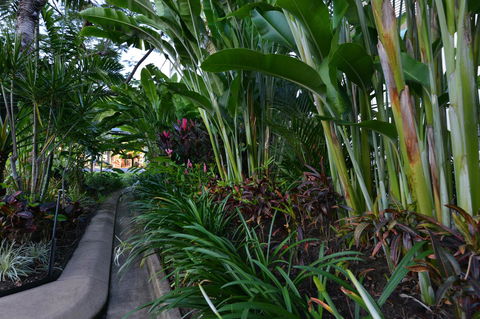 Port Douglas Apartments - Adults Only Oasis - Accommodation Main Beach 9