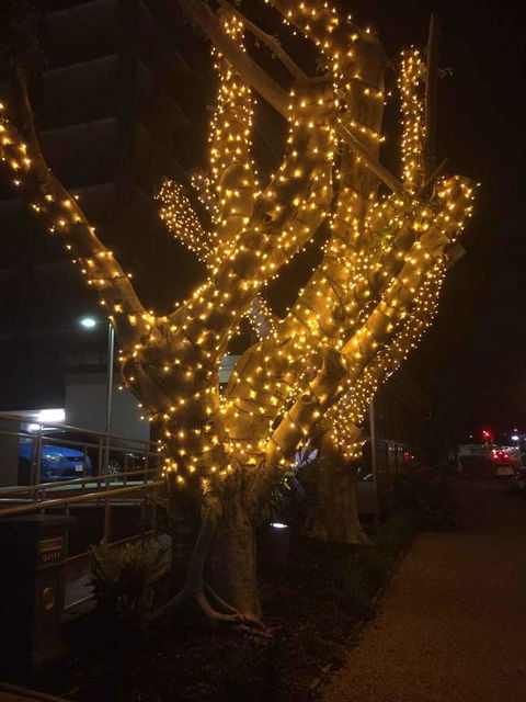 Quest Breakfast Creek - Accommodation Main Beach 16