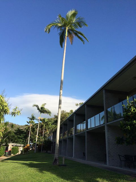 Arcadia Village Motel - Accommodation Main Beach 36