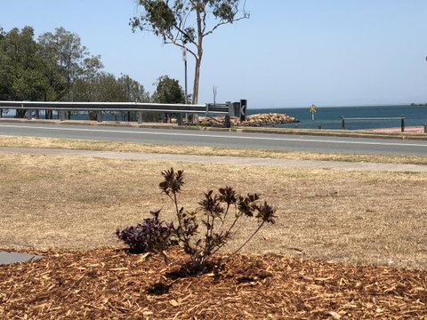 Bribie Waterways Motel - Accommodation Main Beach 18