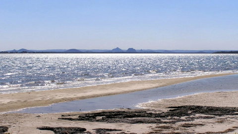 Lowset, Pet Friendly Cottage - Sunset Ave, Bongaree - Accommodation Main Beach 12