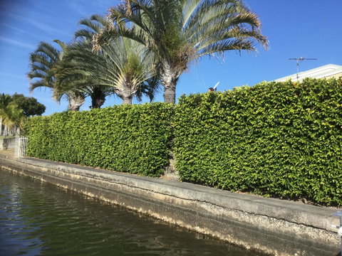 Private Canal Duplex With Pontoon - Oleander Drive, Bongaree - Accommodation Main Beach 8