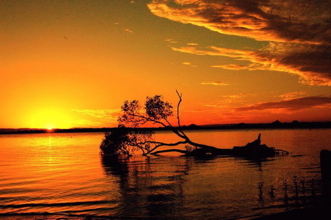 Fishing And Swimming At Your Doorstep - Sylvan Beach Esp, Bellara - Accommodation Main Beach 2