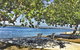 Pet Friendly Cottage In The Heart Of Bribie - Wirraway St, Bongaree - thumb 3