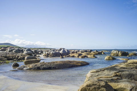 Sawyers Bay Shacks - Accommodation Main Beach 6