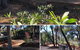 'Carinya' Coastal Cottage - thumb 3