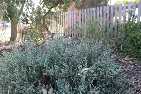 12 Apostles Cottages - Accommodation Main Beach 2