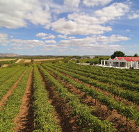 1837 Barossa Luxury Vineyard Cottages - Accommodation Main Beach